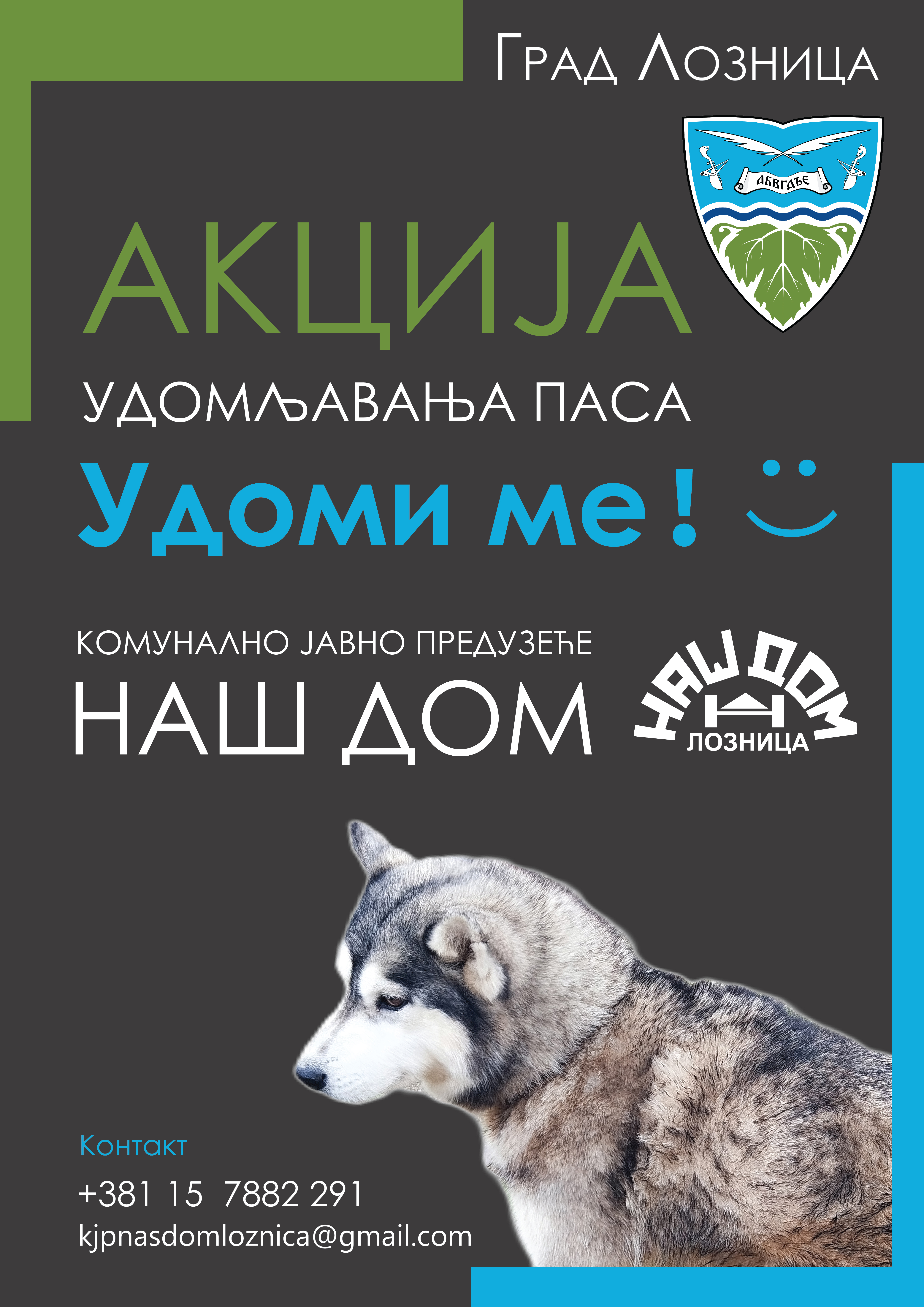 Успешна акција удомљавања